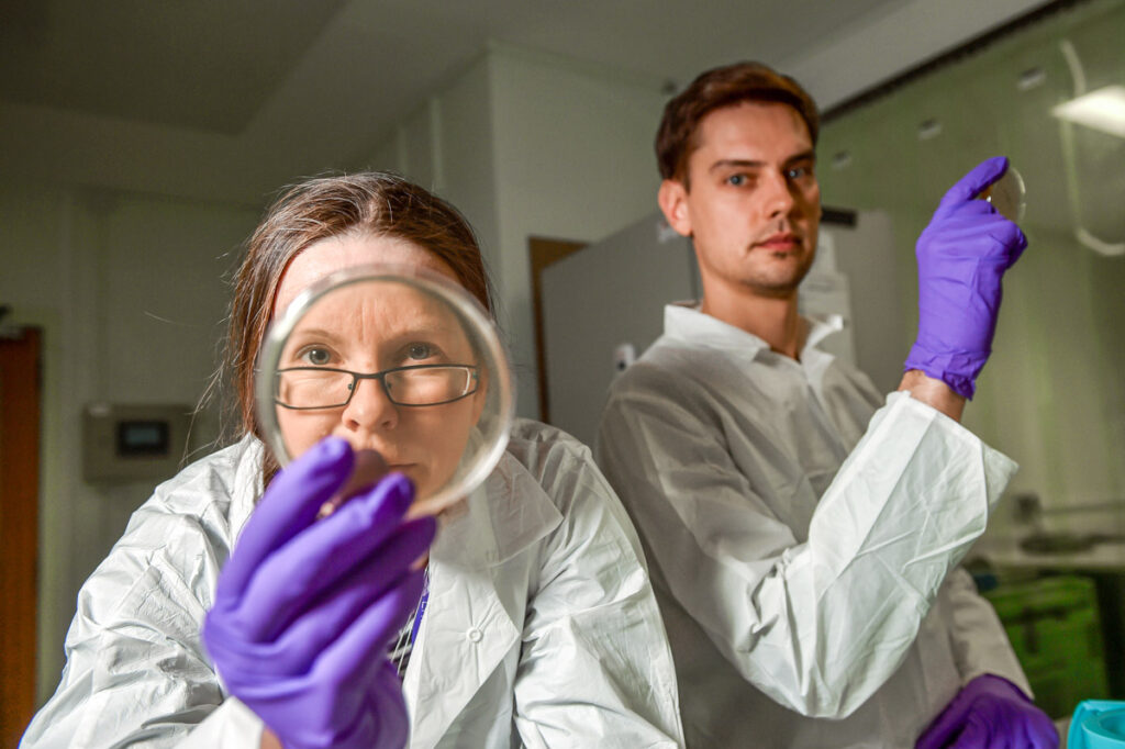 Two scientists wearing white lab coats with purple gloves. One is looking directly at the camera through a petri dish, the other is standing off to the side holding a separate petri dish.